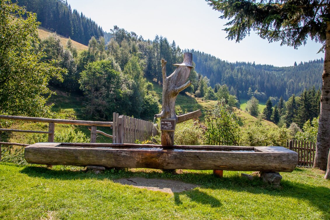 Wanderung Romantischer Bründlweg - Touren-Impression #1 | © Verein romantischer Bründlweg 