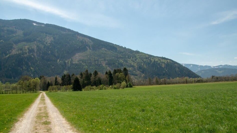 Nordic Walking Pürgschachen Moor Rundweg - Touren-Impression #2.3 | © TV Gesäuse