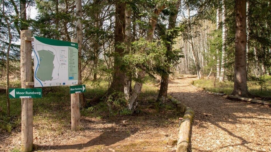 Nordic Walking Pürgschachen Moor Rundweg - Touren-Impression #2.4 | © TV Gesäuse