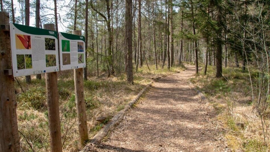 Nordic Walking Pürgschachen Moor Rundweg - Touren-Impression #2.6 | © TV Gesäuse