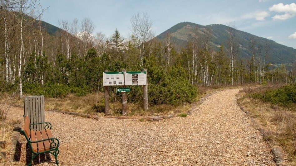 Nordic Walking Pürgschachen Moor Rundweg - Touren-Impression #2.8 | © TV Gesäuse