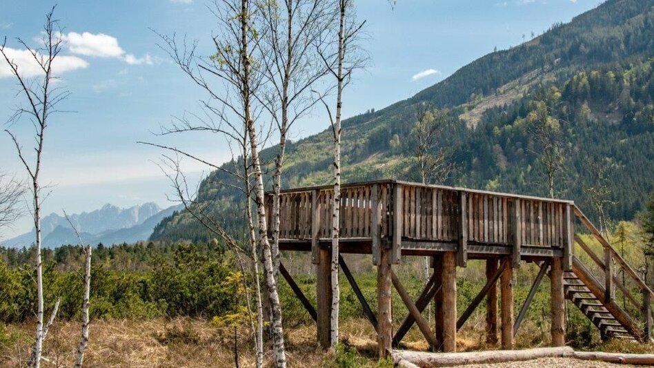 Nordic Walking Pürgschachen Moor Rundweg - Touren-Impression #2.9 | © TV Gesäuse