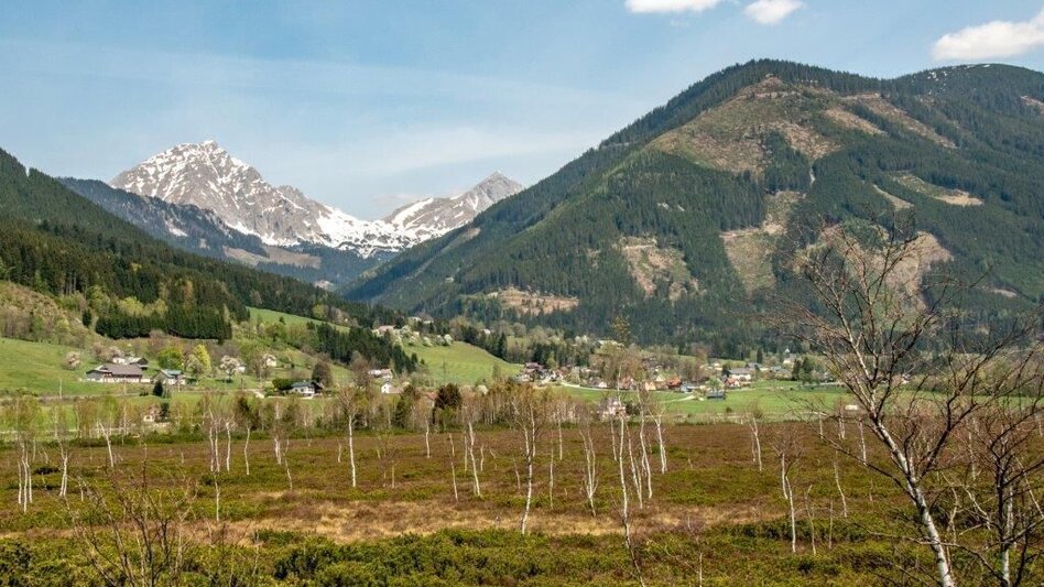 Nordic Walking Pürgschachen Moor Rundweg - Touren-Impression #2.10 | © TV Gesäuse