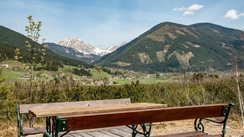 Nordic Walking Pürgschachen Moor Rundweg - Touren-Impression #2.13 | © TV Gesäuse