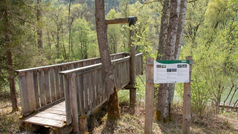 Nordic Walking Pürgschachen Moor Rundweg - Touren-Impression #2.14 | © TV Gesäuse