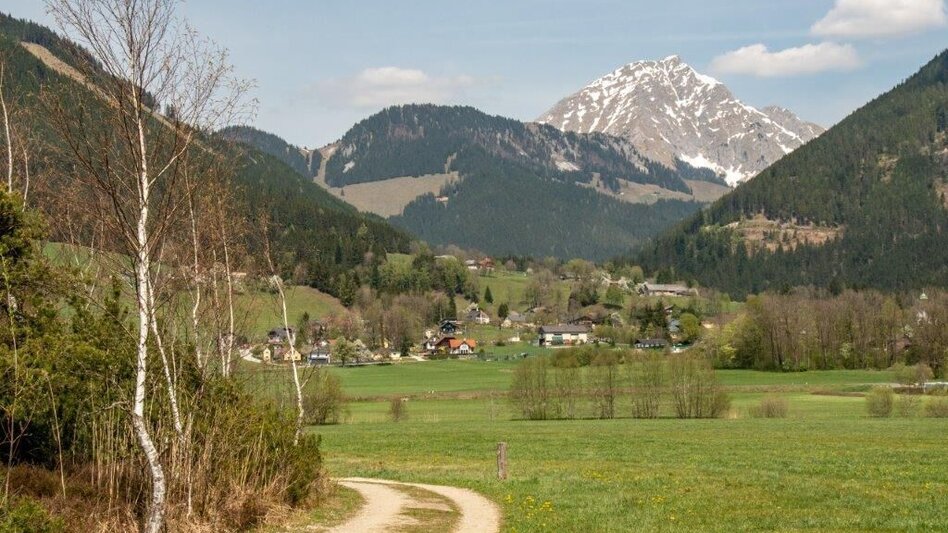 Nordic Walking Pürgschachen Moor Rundweg - Touren-Impression #2.15 | © TV Gesäuse