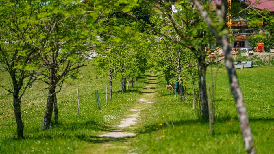 Hiking route Panorama Loop Trail West - Touren-Impression #2.4 | © Christine Höflehner
