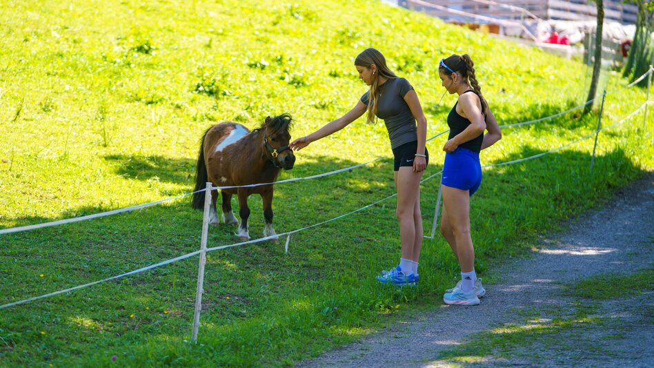 Hiking route Panorama Loop Trail West - Touren-Impression #2.5 | © Christine Höflehner