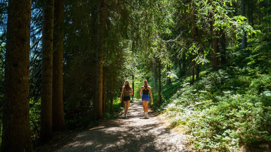 Hiking route Panorama Loop Trail West - Touren-Impression #2.9 | © Christine Höflehner