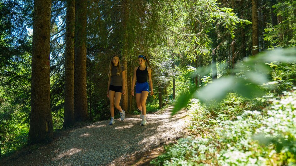 Hiking route Panorama Loop Trail West - Touren-Impression #2.10 | © Christine Höflehner