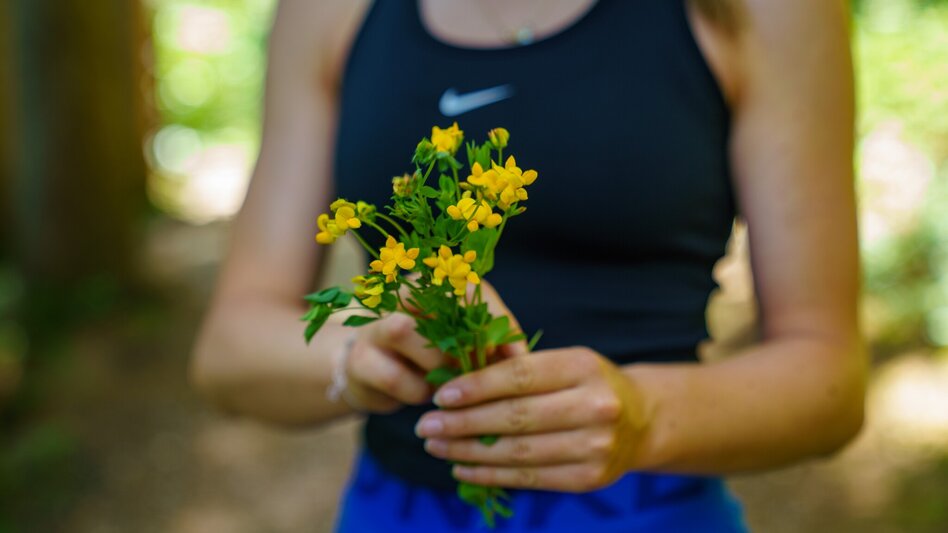Hiking route Panorama Loop Trail West - Touren-Impression #2.11 | © Christine Höflehner