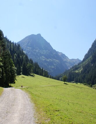 Alp road to Steinriesental valley near Untere Steinwendalm | Gerhard Pilz | © Gerhard Pilz