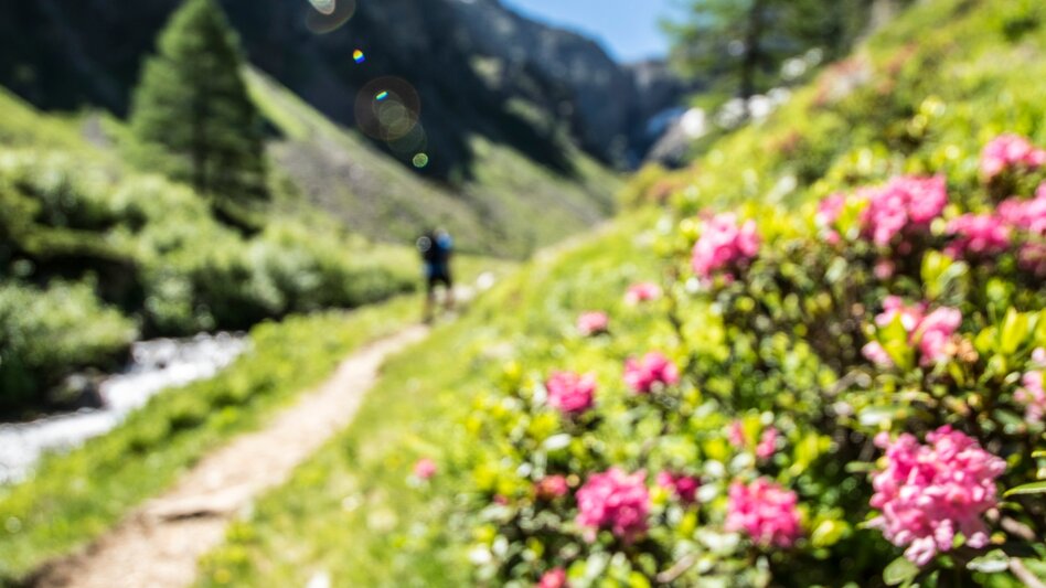 Fernwanderweg 3-Tages-Genusstour: Königstour Klafferkessel - Touren-Impression #2.6 | © Gerhard Pilz - www.gpic.at