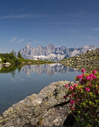 Der Spiegelsee (Mittlerer Gasselsee) auf der Reiteralm | Schladming Dachstein | © Herbert Raffalt