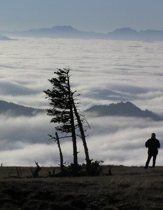 Blick von der Pretul im Spätherbst | Manfred Polansky | © TV Hochsteiermark