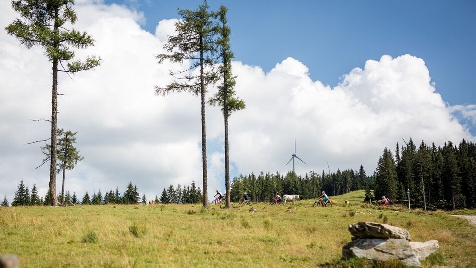 Hiking route Pretul – The Panoramic Mountain at the Gates of Mürzzuschlag - Touren-Impression #2.3 | © Hochsteiermark