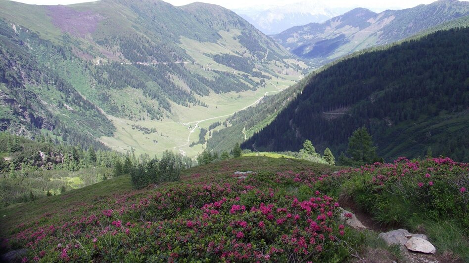 Bergtour Spateck (2.256 m) und Schusterstuhl (2.216 m) - Gipfeltour vom Sattental - Touren-Impression #2.3 | © Erlebnisregion Schladming-Dachstein