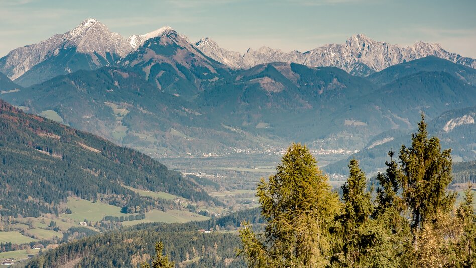 Wanderung Baumhoroskopweg - Familienwanderung - Touren-Impression #2.5 | © Erlebnisregion Schladming-Dachstein