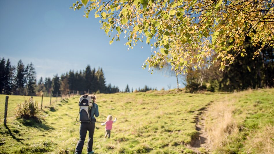 Wanderung Baumhoroskopweg - Familienwanderung - Touren-Impression #2.6 | © Erlebnisregion Schladming-Dachstein
