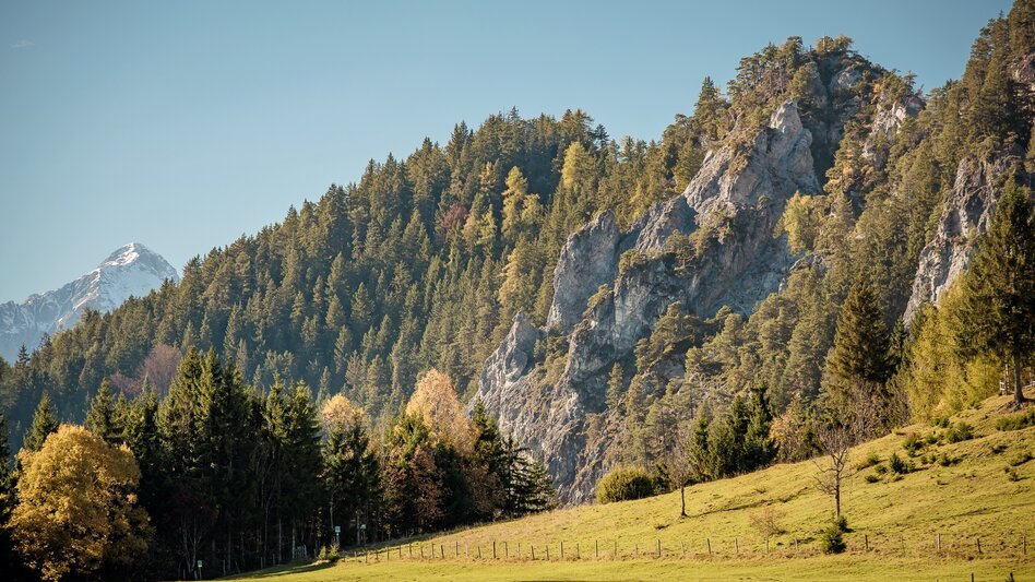 Wanderung Baumhoroskopweg - Familienwanderung - Touren-Impression #2.7 | © Erlebnisregion Schladming-Dachstein