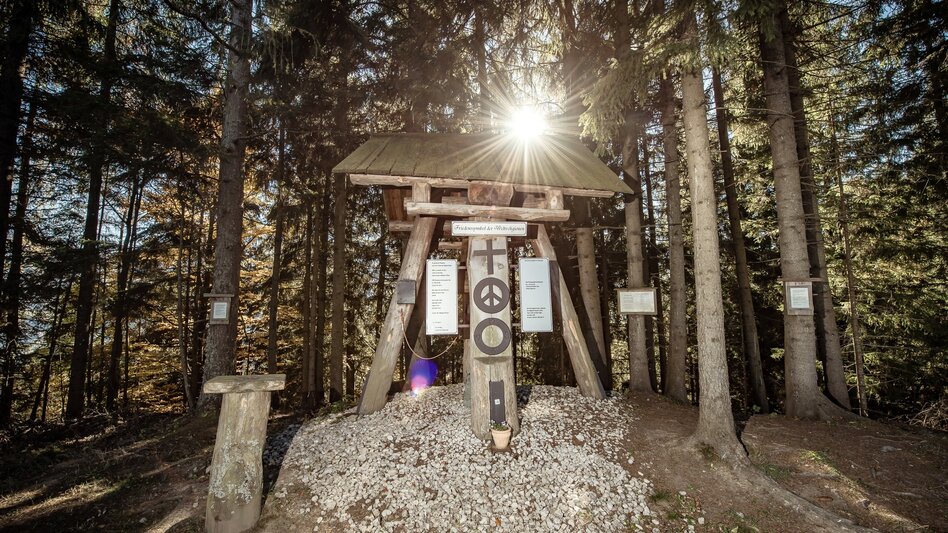 Wanderung Baumhoroskopweg - Familienwanderung - Touren-Impression #2.11 | © Erlebnisregion Schladming-Dachstein
