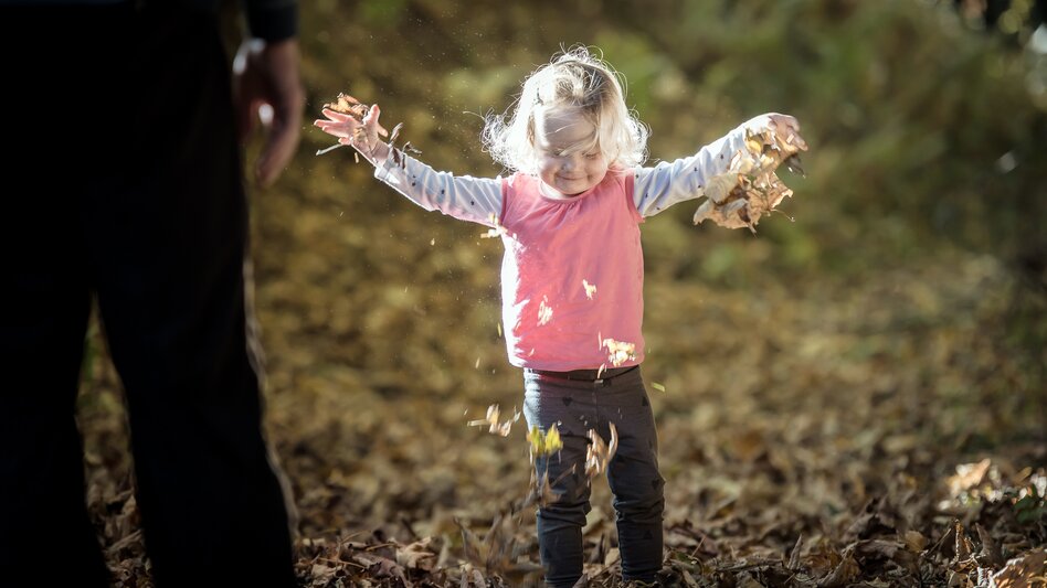 Wanderung Baumhoroskopweg - Familienwanderung - Touren-Impression #2.12 | © Erlebnisregion Schladming-Dachstein