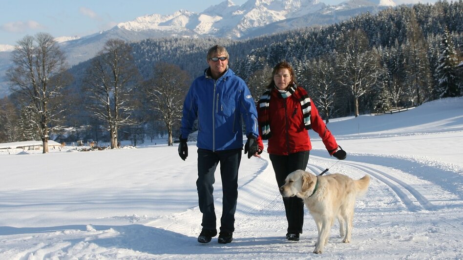 Winter Hiking Larch Trail - Touren-Impression #2.1 | © Erlebnisregion Schladming-Dachstein
