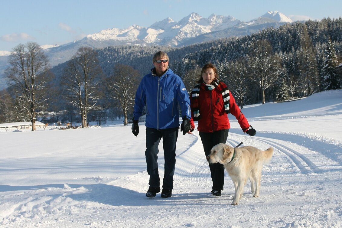 Winter Hiking Larch Trail - Touren-Impression #1 | © Erlebnisregion Schladming-Dachstein