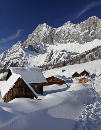 Neustattalm | Tourismusverband Schladming-Dachstein | © Erlebnisregion Schladming-Dachstein