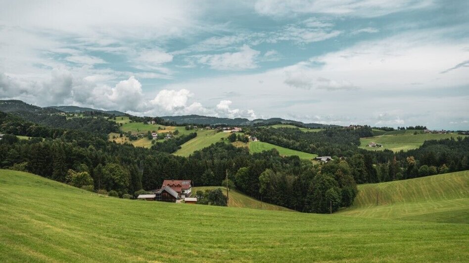Hiking route Aibler Schilchertour – Tour 36 lt. WK „Von der Alm zum Wein“ - Touren-Impression #2.4 | © TV Südsteiermark/Silvan