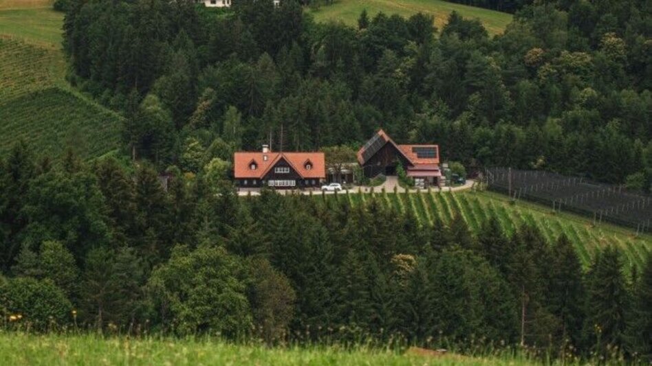 Hiking route Aibler Schilchertour – Tour 36 lt. WK „Von der Alm zum Wein“ - Touren-Impression #2.5 | © TV Südsteiermark/Silvan