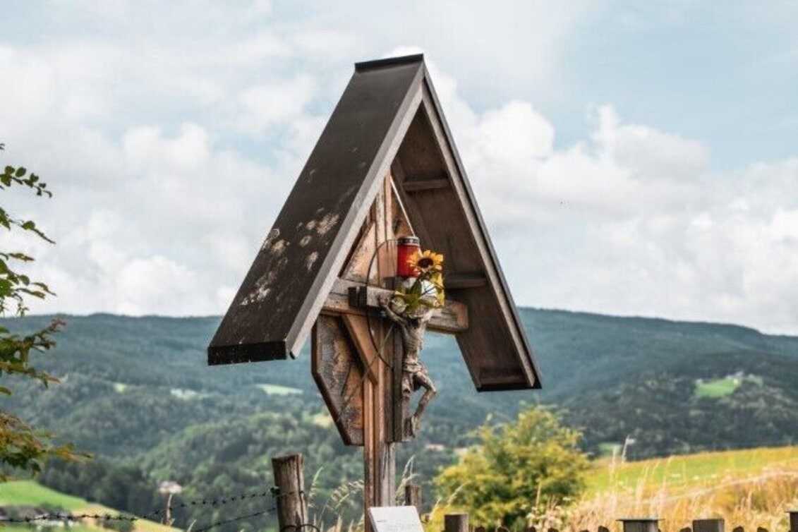 Hiking route Aibler Schilchertour – Tour 36 lt. WK „Von der Alm zum Wein“ - Touren-Impression #1 | © TV Südsteiermark/Silvan