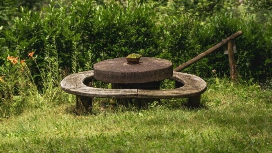 Hiking route Aibler Schilchertour – Tour 36 lt. WK „Von der Alm zum Wein“ - Touren-Impression #2.8 | © TV Südsteiermark/Silvan