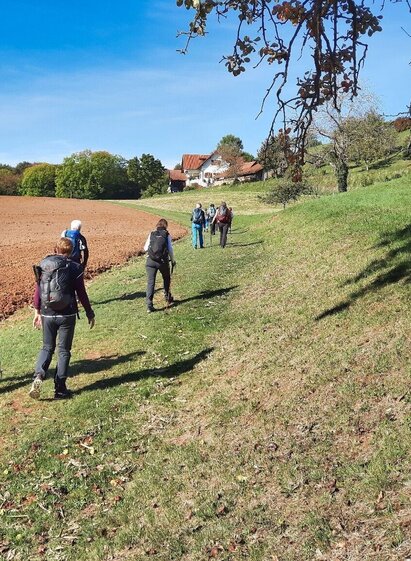 Eindeutige Markierungen | © Thermen- & Vulkanland | Weges OG | © Thermen- & Vulkanland