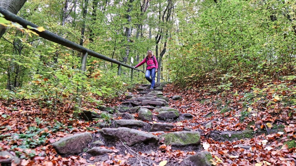 Wanderung Weinweg der Sinne in St. Anna am Aigen - Touren-Impression #2.7 | © Thermen- & Vulkanland