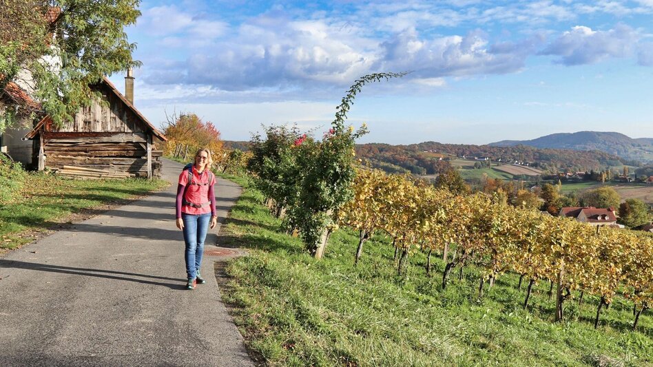 Wanderung Weinweg der Sinne in St. Anna am Aigen - Touren-Impression #2.9 | © Thermen- & Vulkanland
