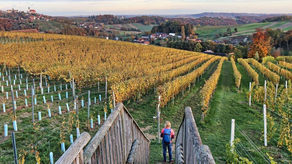 Wanderung Weinweg der Sinne in St. Anna am Aigen - Touren-Impression #2.10 | © Thermen- & Vulkanland