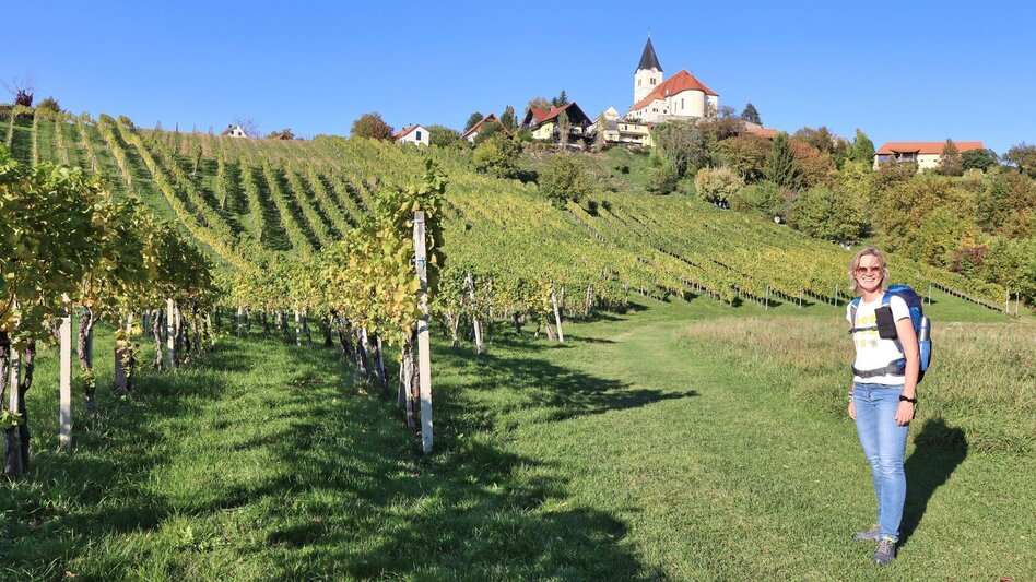 Wanderung Weinweg der Sinne in St. Anna am Aigen - Touren-Impression #2.14 | © Thermen- & Vulkanland