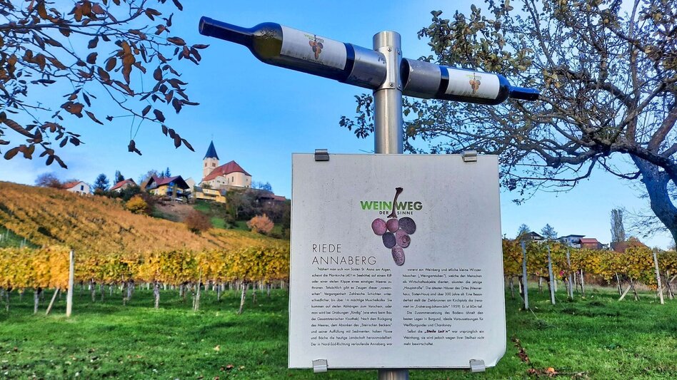 Wanderung Weinweg der Sinne in St. Anna am Aigen - Touren-Impression #2.16 | © Thermen- & Vulkanland