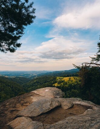 Zoran Novakovic | © Schilcherland Steiermark