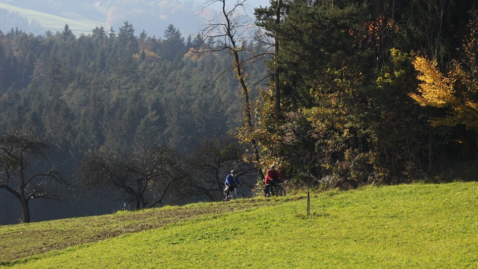Bike Riding Three Markets Tour - Touren-Impression #2.2 | © Region Graz