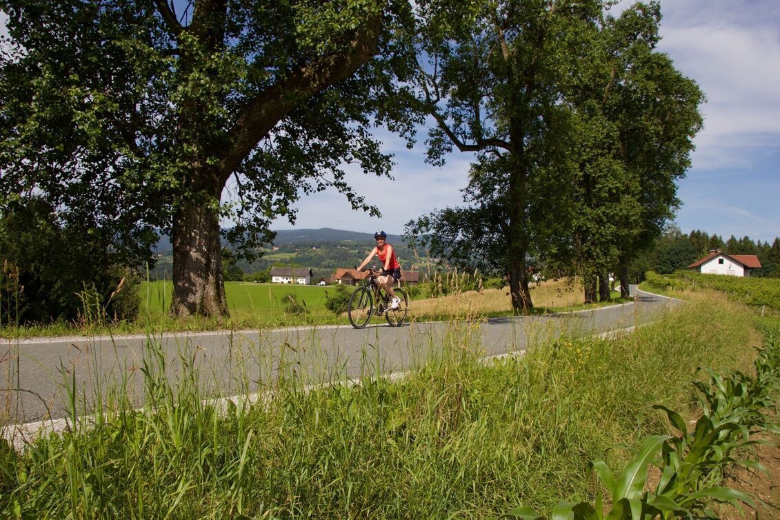 Bike Riding Three Markets Tour - Touren-Impression #1 | © Region Graz