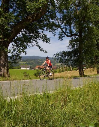 Zwischen Rauchegg und Kniezenberg | Rainer M. Fürstaller  | © Region Graz
