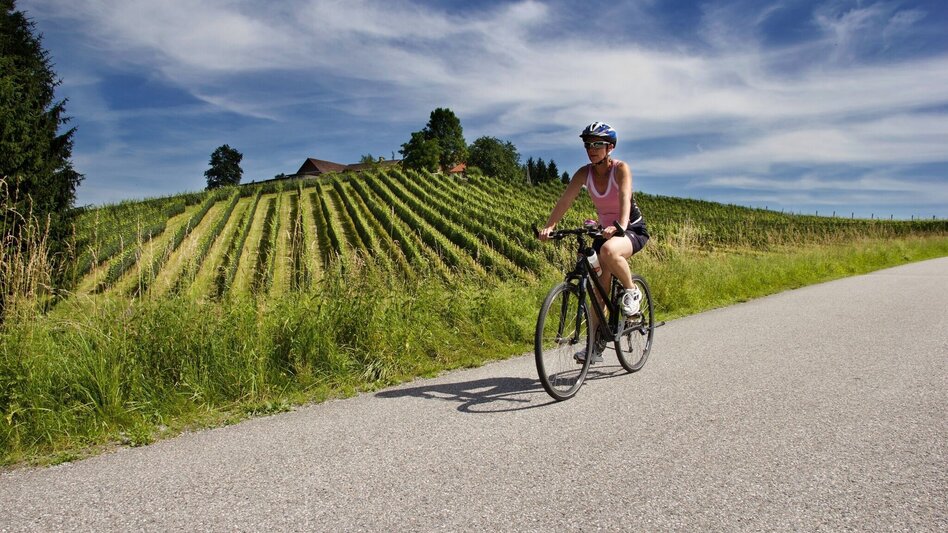 Bike Riding Three Markets Tour - Touren-Impression #2.10 | © Region Graz