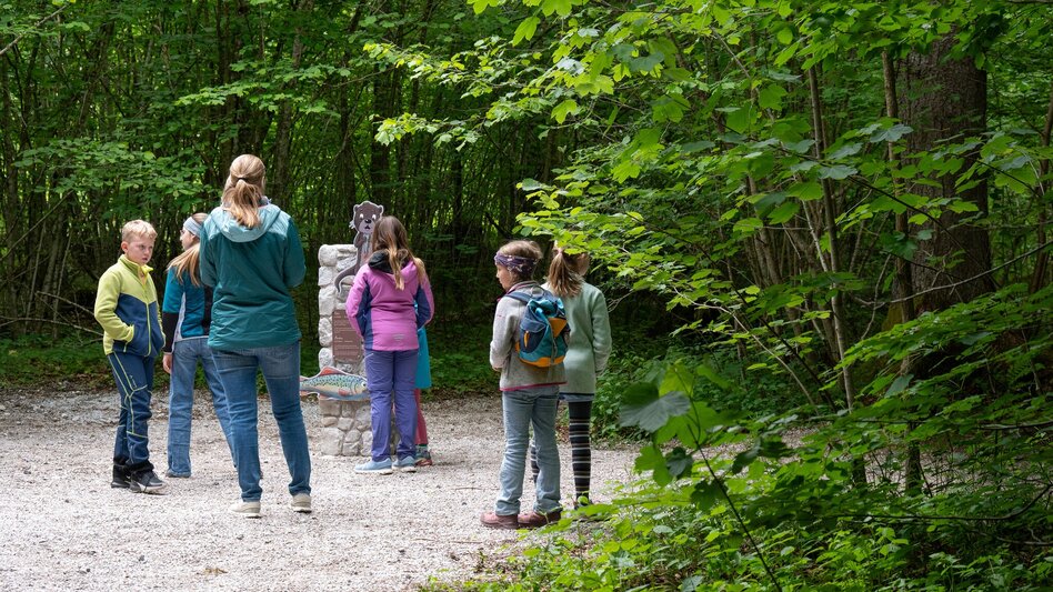 Wasserwege Johnsbacher Sagenweg - Der Wilde John - Touren-Impression #2.3