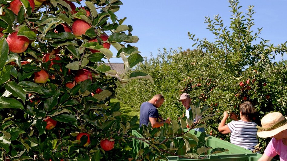 Bike Riding Beetle Bean Tour to the Apple Country - Touren-Impression #2.1 | © Steiermark Tourismus/Gery Wolf