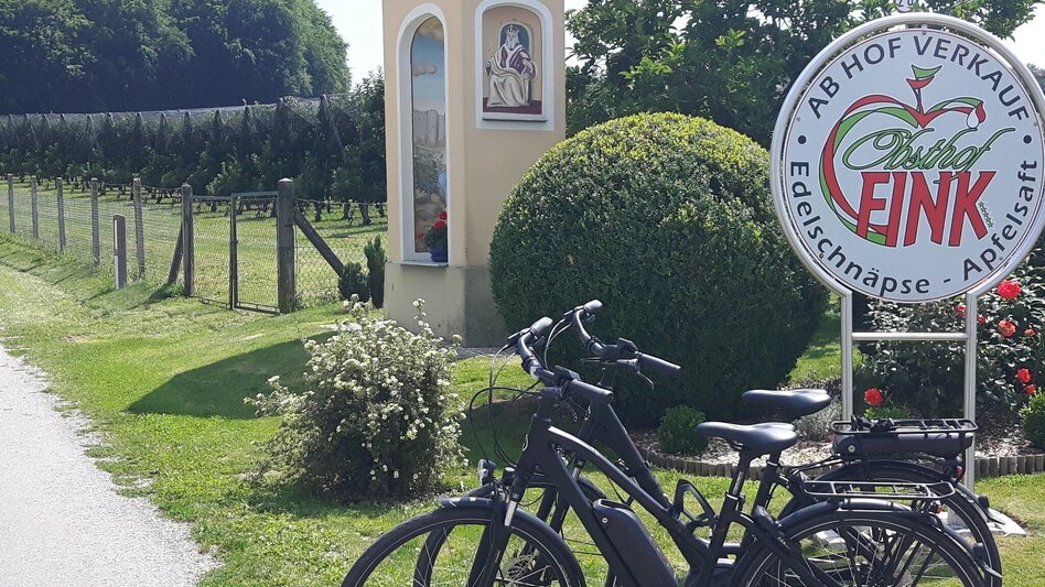 Bike Riding Beetle Bean Tour to the Apple Country - Touren-Impression #2.5 | © (c) Günther Steininger
