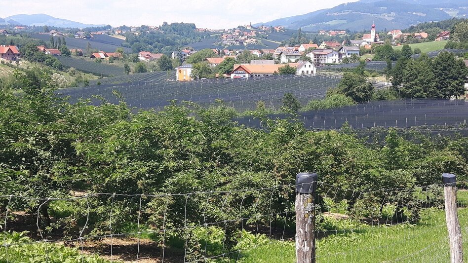 Bike Riding Beetle Bean Tour to the Apple Country - Touren-Impression #2.7 | © (c) Günther Steininger