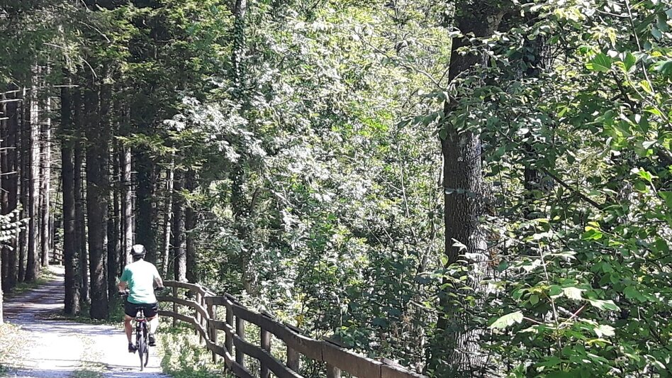 Bike Riding Beetle Bean Tour to the Apple Country - Touren-Impression #2.8 | © (c) Günther Steininger