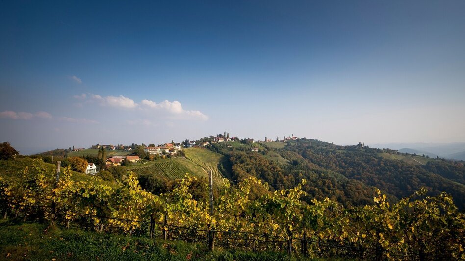 Bike Riding Sausaler Tour - Touren-Impression #2.1 | © TVB Südsteiermark / TRV SWS Tom Lamm